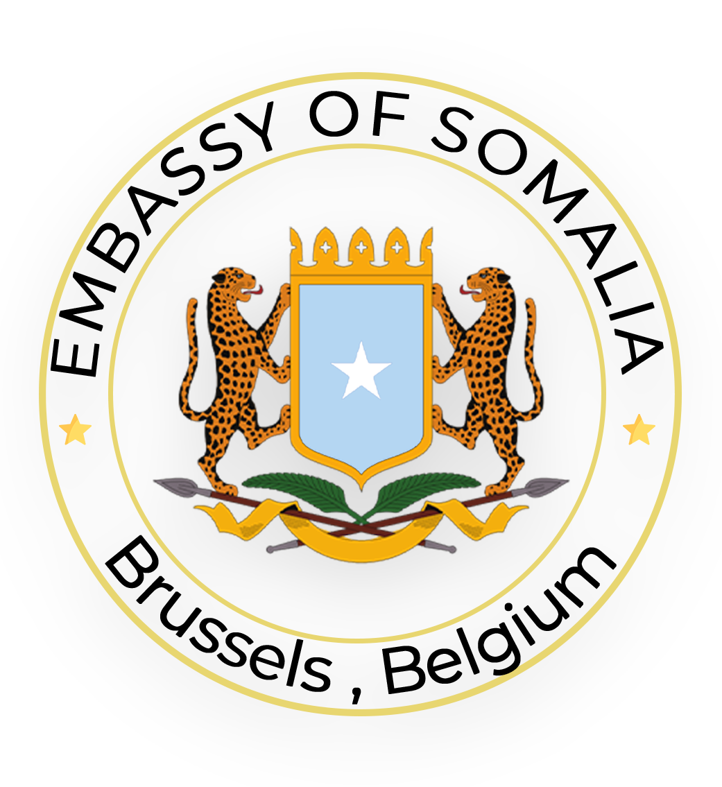 Somali Embassy Belgium